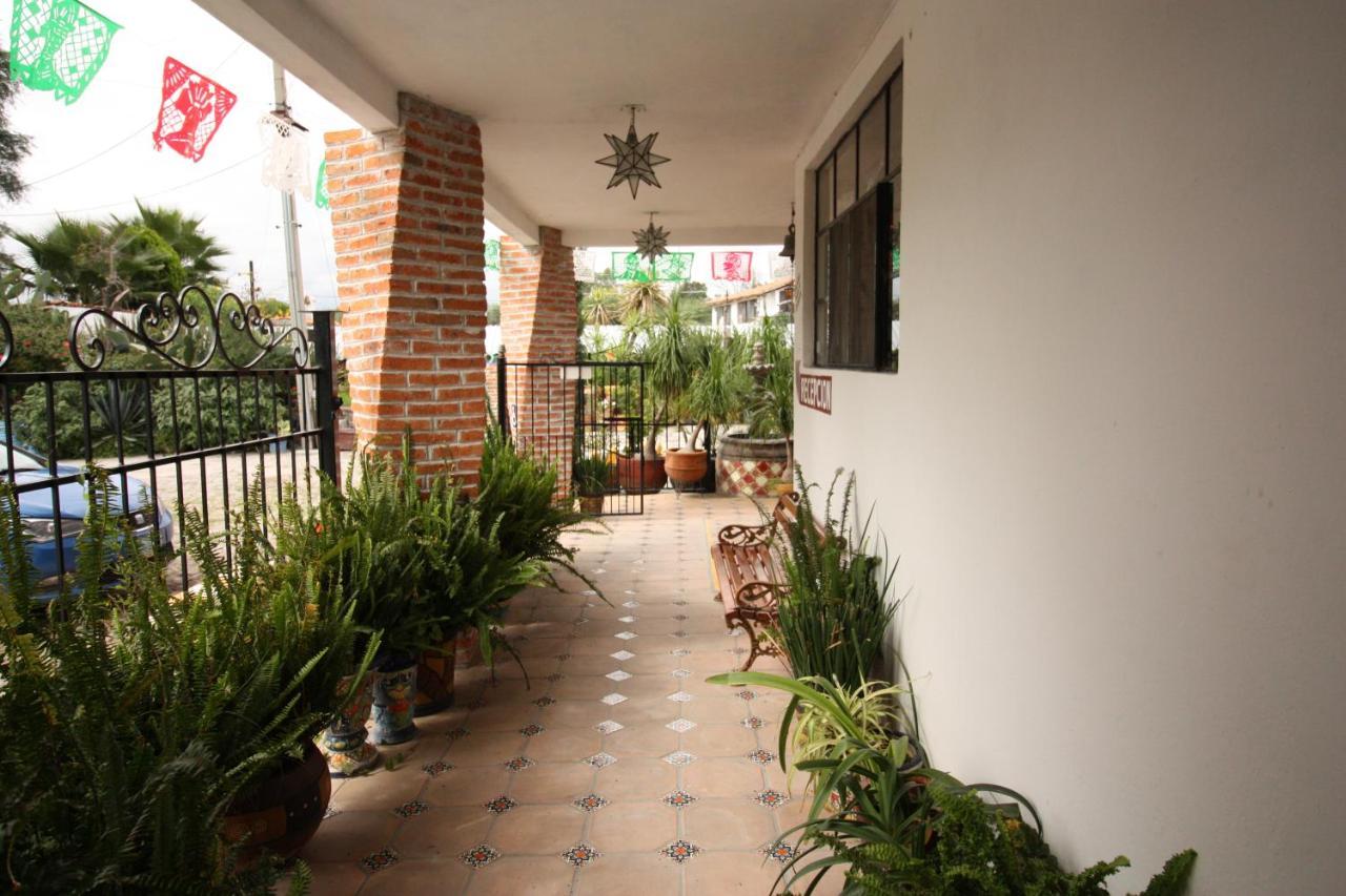Margarita Hotel Bandita Ngoại thất bức ảnh