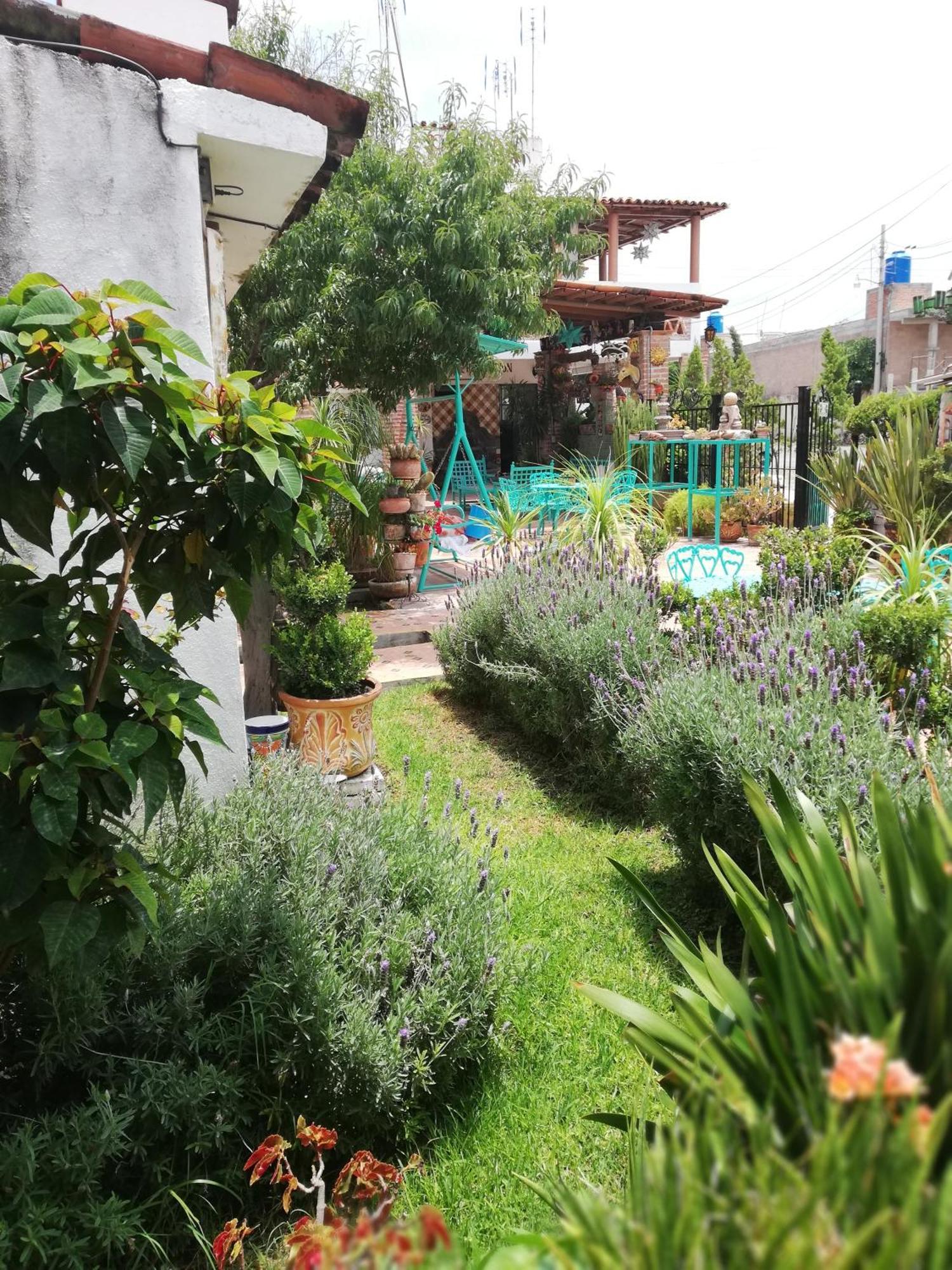 Margarita Hotel Bandita Ngoại thất bức ảnh